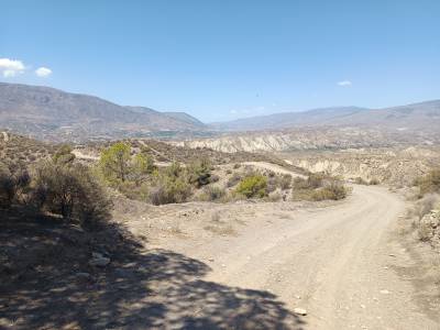 }
Jetzt geht es in die Wüste. Genaugenommen in die Sierra, eine sehr trockene Gebirgslandschaft - zumindest derzeit. Bei einem längeren Aufstieg unter wolkenfreien Himmel fühle ich bald ein brennen an der Stirn. Jetzt nutze ich eine Idee von den vorherigen Wanderungen. Ein T-Shirt mit Wasser tränken, über den Kopf legen und schon wird die Hitze deutlich angenehmer.
<WRAP clear/>

{{:mozarabe:mozarabe_022.jpg?400&nolink |